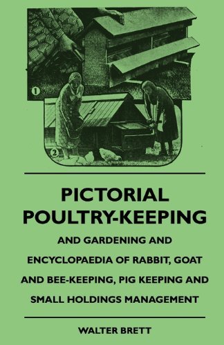 Cover for Walter Brett · Pictorial Poultry-keeping and Gardening and Encyclopaedia of Rabbit, Goat and Bee-keeping, Pig Keeping and Small Holdings Management (Paperback Book) (2010)