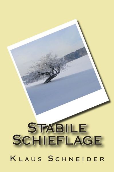 Cover for Klaus Schneider · Stabile Schieflage (Paperback Book) (2013)