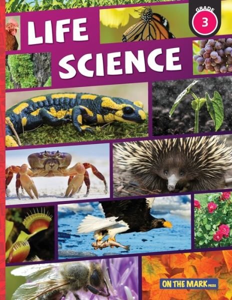 Cover for Tracy Bellaire · Life Science Grade 3 (Paperback Book) (2017)