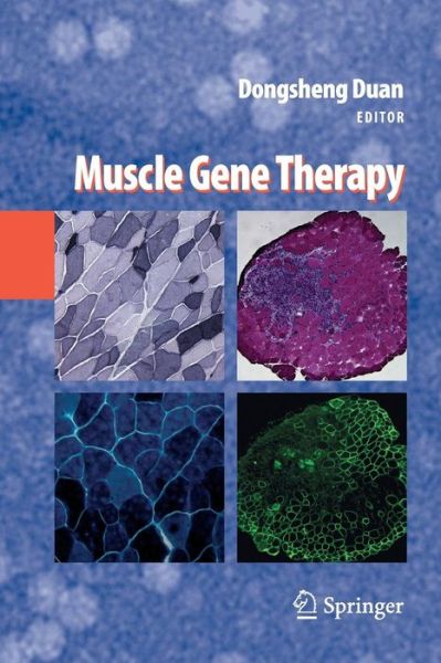 Cover for Dongsheng Duan · Muscle Gene Therapy (Paperback Book) [2010 edition] (2014)