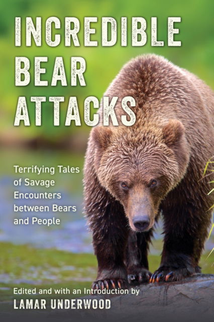 Cover for Incredible Bear Attacks: Terrifying Tales of Savage Encounters between Bears and People. (Paperback Bog) (2025)