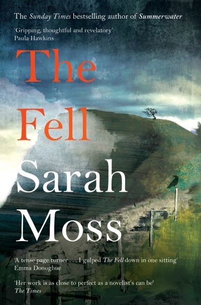 Cover for Sarah Moss · The Fell (Taschenbuch) (2022)