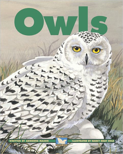 Cover for Adrienne Mason · Owls (Paperback Book)