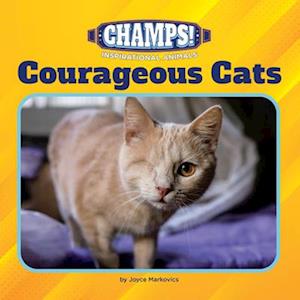 Cover for Joyce Markovics · Courageous Cats (Book) (2024)