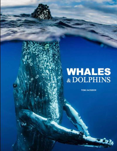 Cover for Tom Jackson · Whales &amp; Dolphins - Animals in Photographs (Inbunden Bok) (2024)