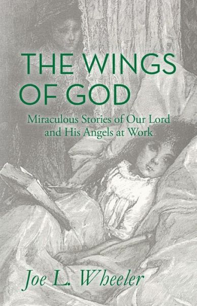 Cover for Joe L Wheeler · The Wings of God (Pocketbok) (2017)