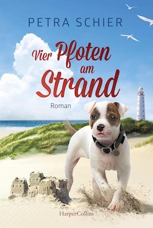 Vier Pfoten am Strand - Petra Schier - Böcker - HarperCollins Taschenbuch - 9783365005248 - 23 maj 2023