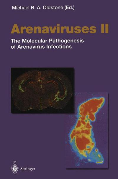 Cover for M B a Oldstone · Arenaviruses II: The Molecular Pathogenesis of Arenavirus Infections - Current Topics in Microbiology and Immunology (Paperback Book) [Softcover reprint of the original 1st ed. 2002 edition] (2012)