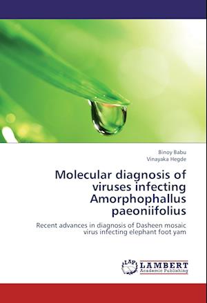 Cover for Babu · Molecular diagnosis of viruses inf (Book)