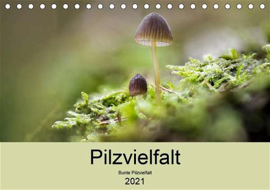 Pilzvielfalt (Tischkalender 2021 D - Reim - Bøger -  - 9783672369248 - 