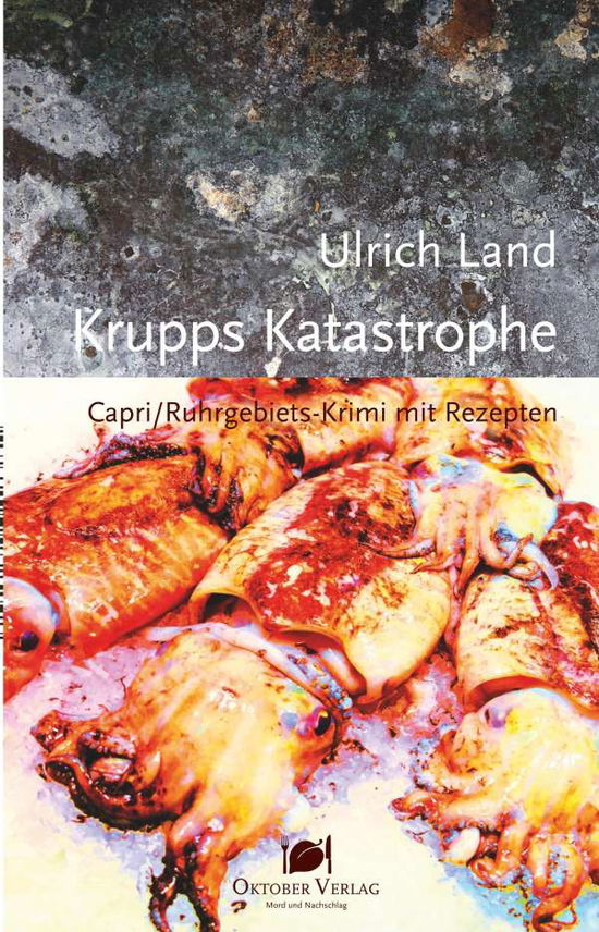 Cover for Land · Krupps Katastrophe (Book)