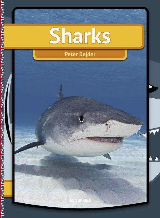Cover for Peter Bejder · My first book: Sharks (Paperback Book) [1e uitgave] [Paperback] (2014)