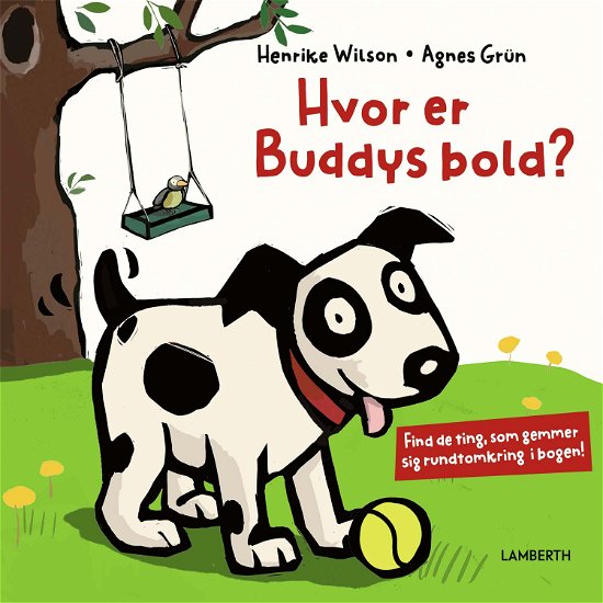 Agnes Grün · Hvor er Buddys bold? (Bound Book) [1e uitgave] (2024)