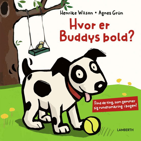 Cover for Agnes Grün · Hvor er Buddys bold? (Bound Book) [1st edition] (2024)