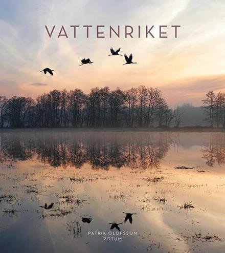 Cover for Patrik Olofsson · Vattenriket (English / engelska) (Inbunden Bok) [English edition] (2017)