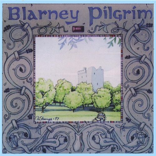 Cover for Idlewild · Blarney Pilgrim (CD) (2002)