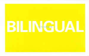 Cover for Pet Shop Boys · Bilingual (MISC)