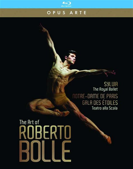 Cover for Roberto Bolle · Art of Roberto Bolle (Blu-ray) (2021)
