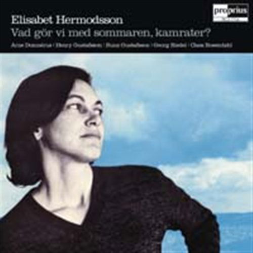 Hermodsson / Domnerus / Riedel / Gustafsson · Vad Gor Vi med Sommaren Kamra (CD) (2006)