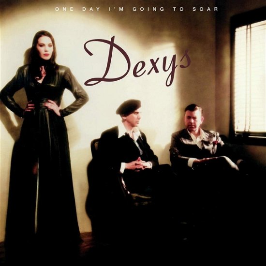Cover for Dexys · One Day Im Going To Soar (LP) (2022)