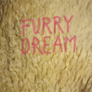 Cover for Gurr · Furry Dream (LP) (2016)