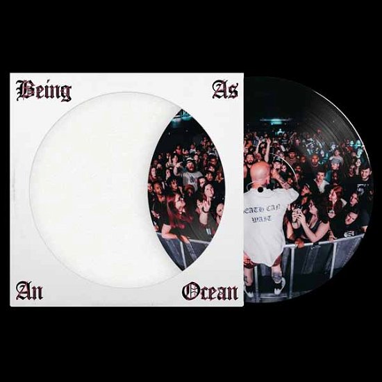 Cover for Being As an Ocean · Death Can Wait (LP) [Picture Disc edition] (2024)