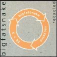 Cover for Big Fat Snake · Recycled (CD) (2005)