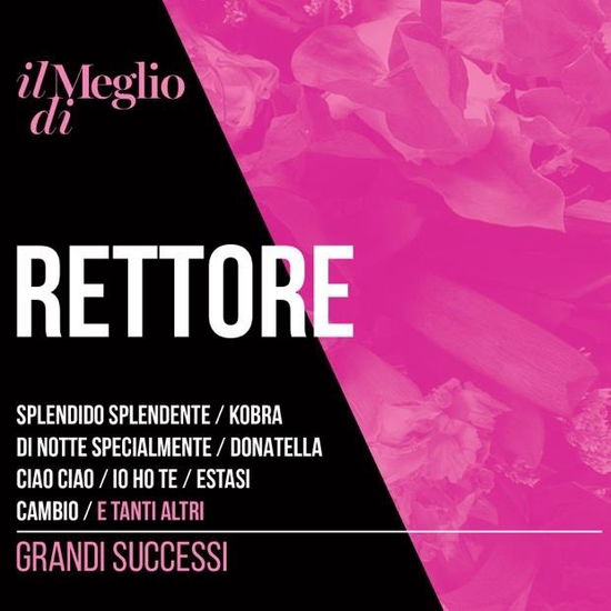 Il Meglio Di Rettore - Rettore - Music - Nar International Ad - 8004429134249 - September 13, 2024