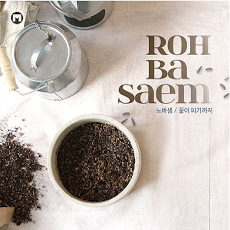 Cover for Ba-saem Roh · Roh Ba Saem Vol.1 (CD) (2015)