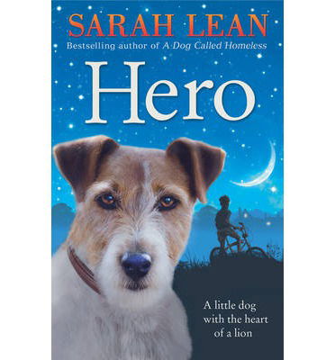 Cover for Sarah Lean · Hero (Paperback Book) (2014)