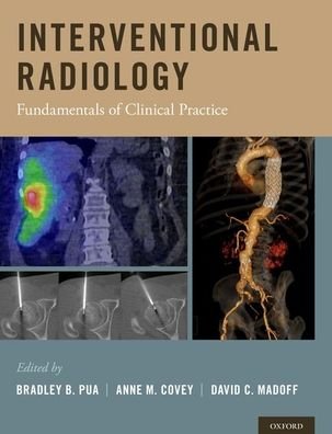 Cover for Interventional Radiology: Fundamentals of Clinical Practice (Gebundenes Buch) (2019)