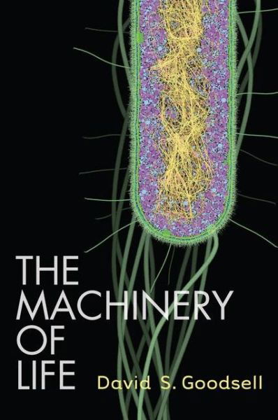 The Machinery of Life - David S. Goodsell - Livros - Springer-Verlag New York Inc. - 9780387849249 - 28 de abril de 2009