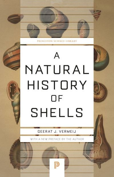 Cover for Geerat Vermeij · A Natural History of Shells - Princeton Science Library (Pocketbok) (2021)