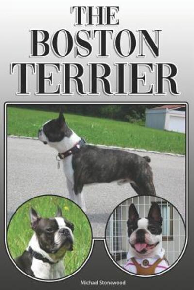 Cover for Michael Stonewood · The Boston Terrier (Paperback Book) (2019)