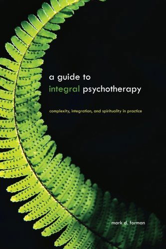 Cover for Mark D. Forman · A Guide to Integral Psychotherapy: Complexity, Integration, and Spirituality in Practice (Suny Series in Integral Theory) (Paperback Book) (2010)