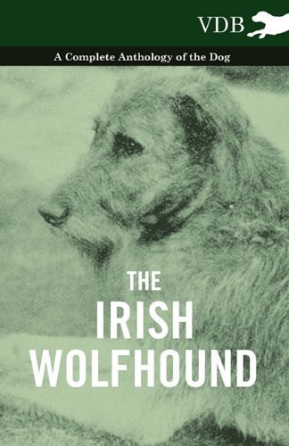 Cover for The Irish Wolfhound - a Complete Anthology of the Dog (Pocketbok) (2010)