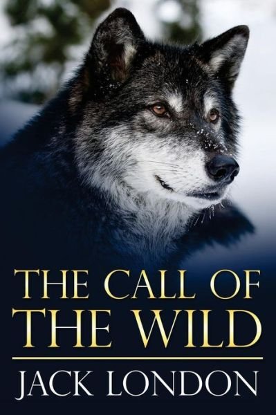 The Call of the Wild - Jack London - Böcker - Createspace Independent Publishing Platf - 9781519298249 - 14 november 2015