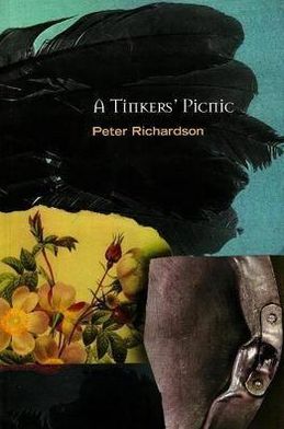 Cover for Peter Richardson · A Tinker's Picnic (Paperback Book) (1999)