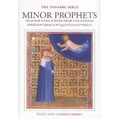 Cover for Navarre Bible · Minor Prophets USA Edn (Hardcover Book)