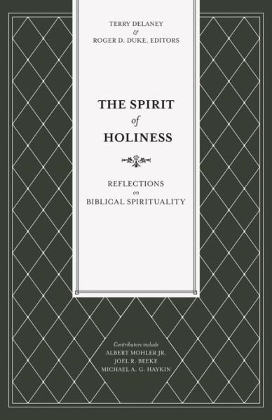 Cover for Terry Delaney · The Spirit of Holiness (Paperback Book) (2020)