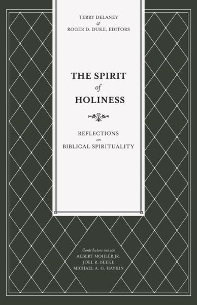 Cover for Terry Delaney · The Spirit of Holiness (Pocketbok) (2020)