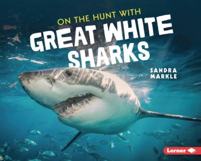 Cover for Sandra Markle · On the Hunt with Great White Sharks (Hardcover Book) (2022)