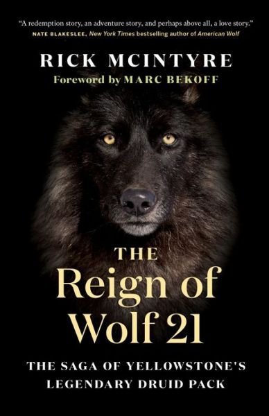 Cover for Rick McIntyre · The Reign of Wolf 21: The Saga of Yellowstone's Legendary Druid Pack (Hardcover Book) (2020)