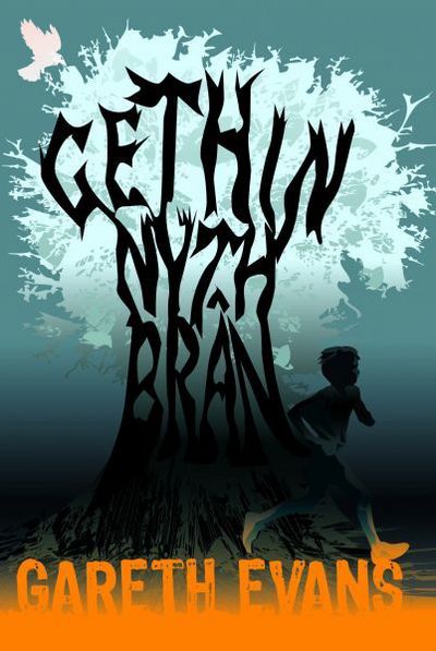 Cover for Gareth Evans · Gethin Nyth Bran (Paperback Book) (2017)