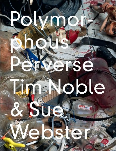 Cover for James Putnam · Polymorphous Perverse (Hardcover Book) (2008)