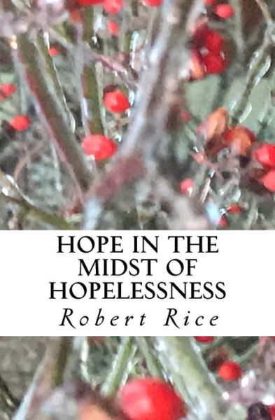 Cover for Robert Wesley Rice · Hope in the Midst of Hopelessness (Paperback Book) (2017)