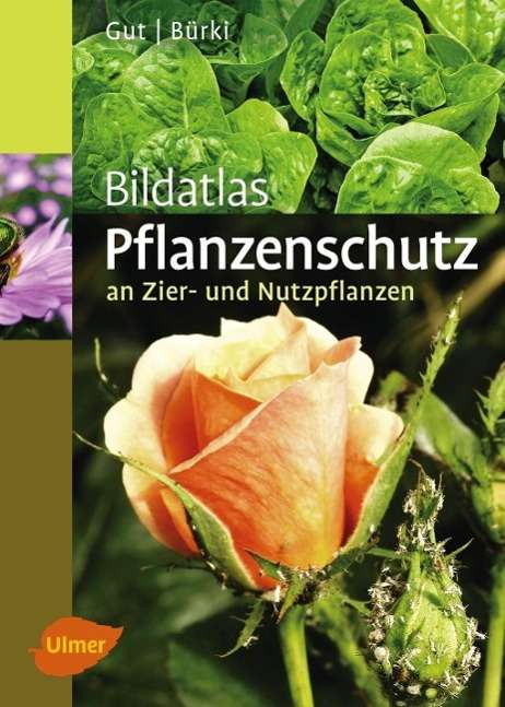 Bildatlas Pflanzenschutz an Zier- u - Gut - Böcker -  - 9783800103249 - 