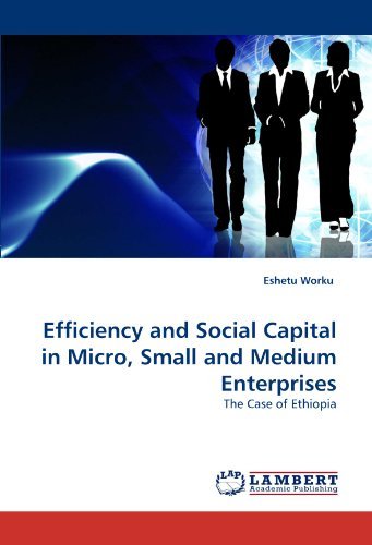 Cover for Eshetu Worku · Efficiency and Social Capital in Micro, Small and Medium Enterprises: the Case of Ethiopia (Pocketbok) (2011)