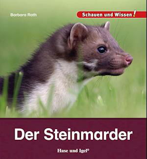 Der Steinmarder - Barbara Rath - Książki - Hase und Igel Verlag - 9783863164249 - 15 stycznia 2023