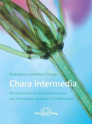 Cover for Brand · Chara intermedia (Book)